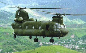 More Chooks for US Army